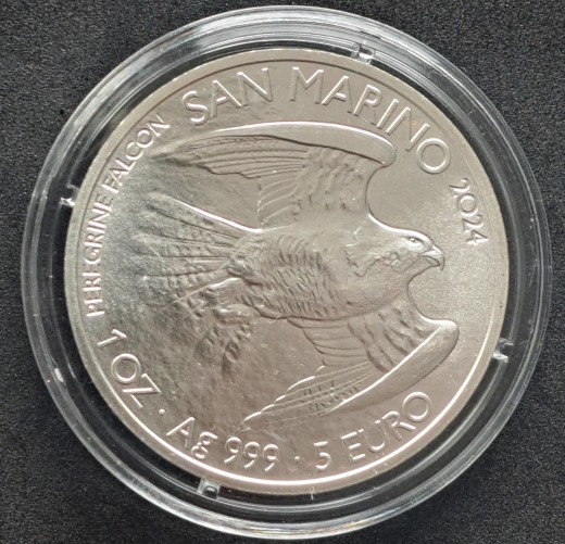 1 Unze 5 Euro Silber San Marino 2024 - Heregrine Falcon - AG999