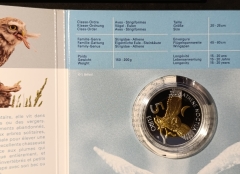 5 Euro Luxemburg 2024 - Folder - Steinkauz - Little Owl