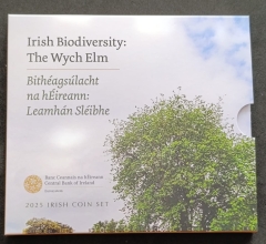 Offizieller KMS Irland 2025