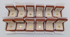 12x 100 Euro Gold Griechenland 2014-2025 KOMPLETT * Olympische Götter PP COA Set